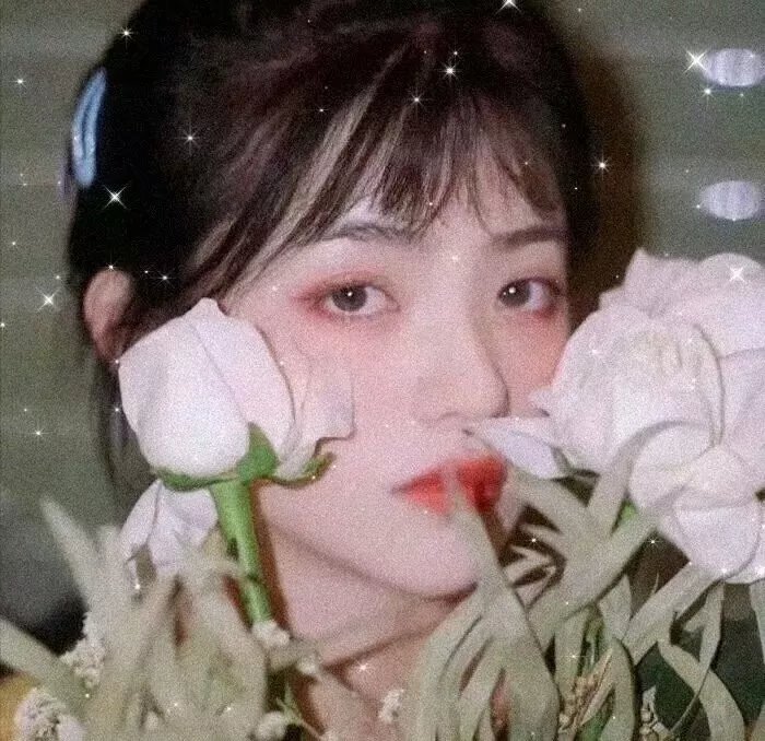 麻辣拍档